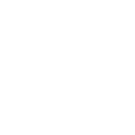 Vision Icon